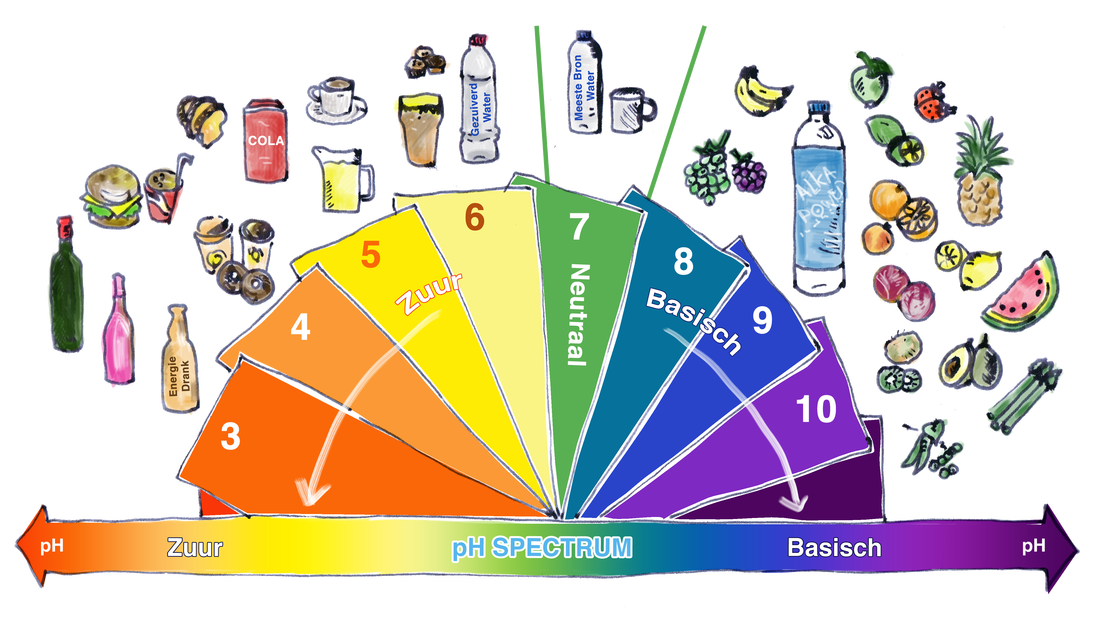 diagram voedsel pH-waarden
